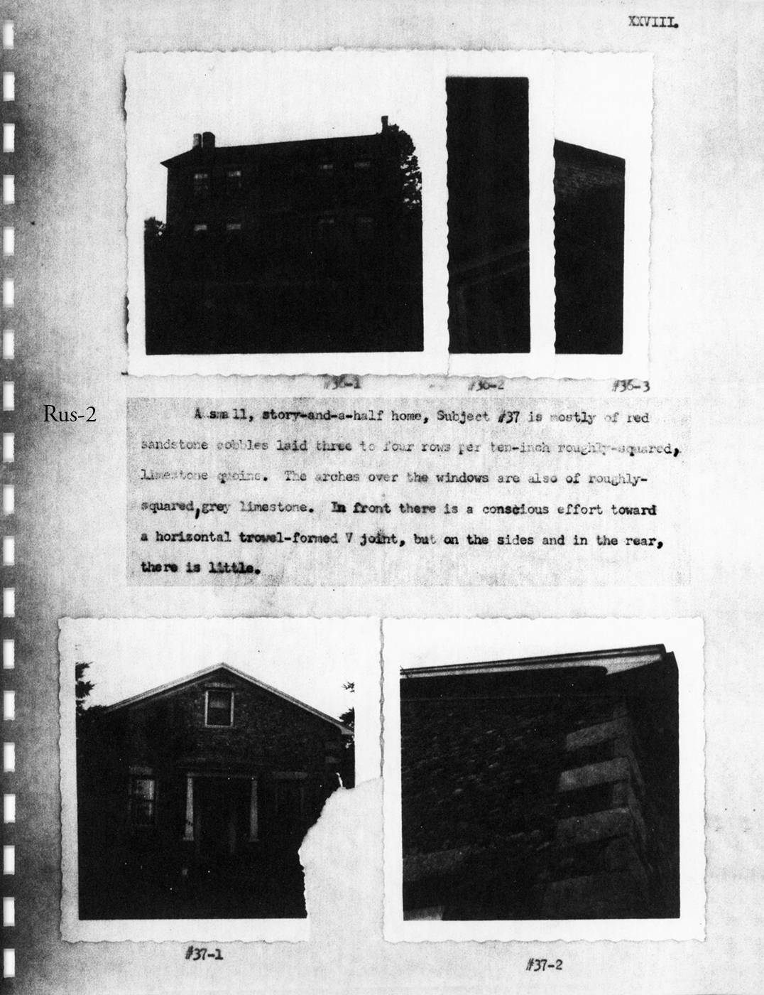 Wood Survey P28 19550618